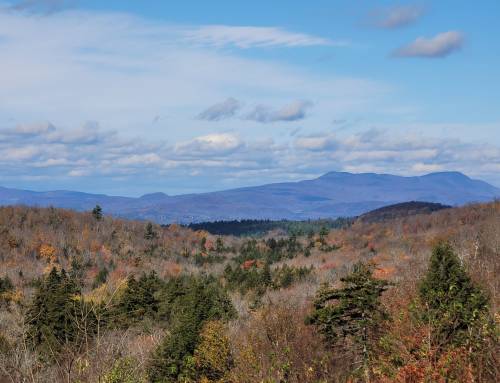 Anderson Overlook at the October Mountain State Forest