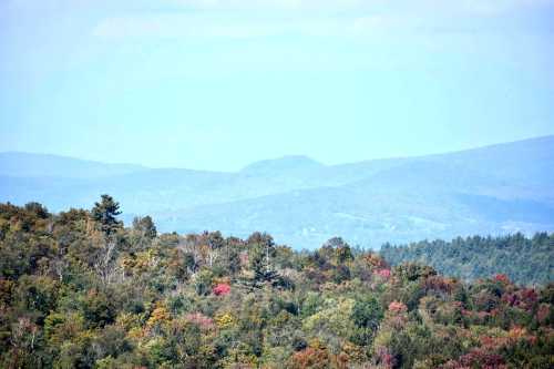 Anderson Overlook at the October Mountain State Forest